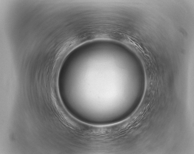 X0000116760049200912171444