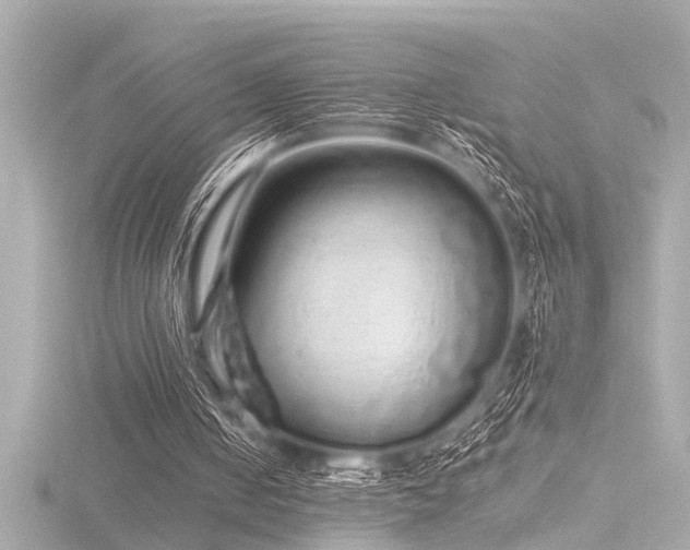 X0000116760050200912171444