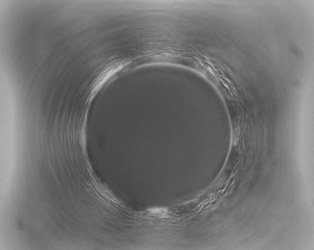 X0000116760052200912171444
