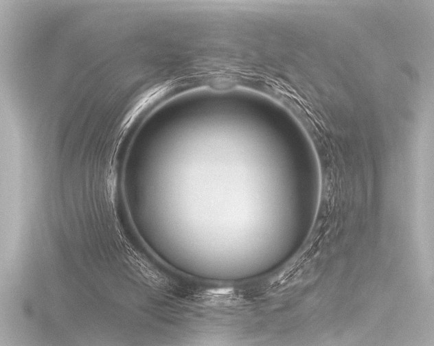 X0000116760054200912171444