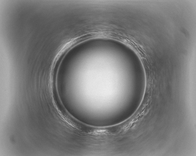 X0000116760055200912171444