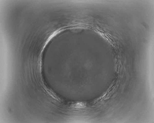 X0000116760056200912171444