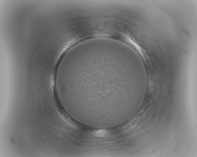 X0000116760059200912171444