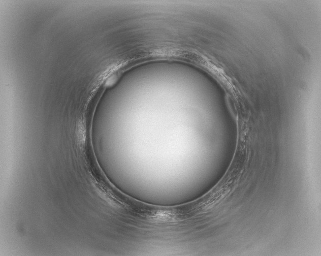 X0000116760060200912171444