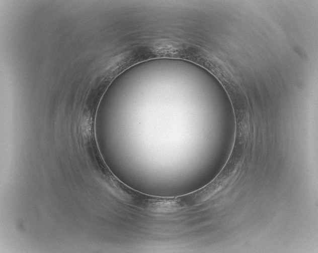 X0000116760081200912171444