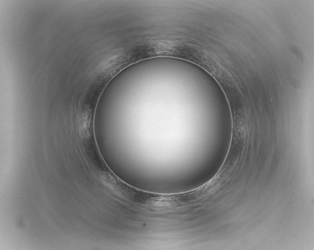 X0000116760082200912171444