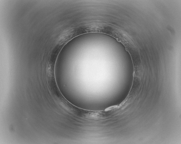 X0000116760086200912171444