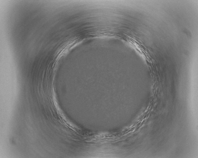 X0000116760097200912171444