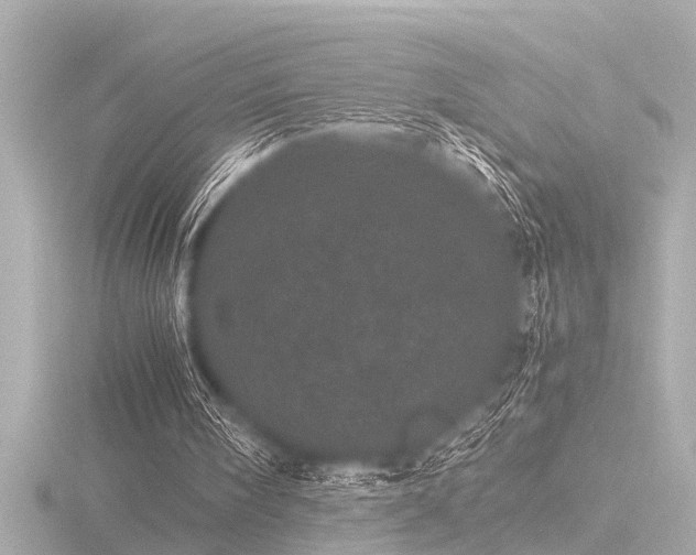 X0000116760098200912171444