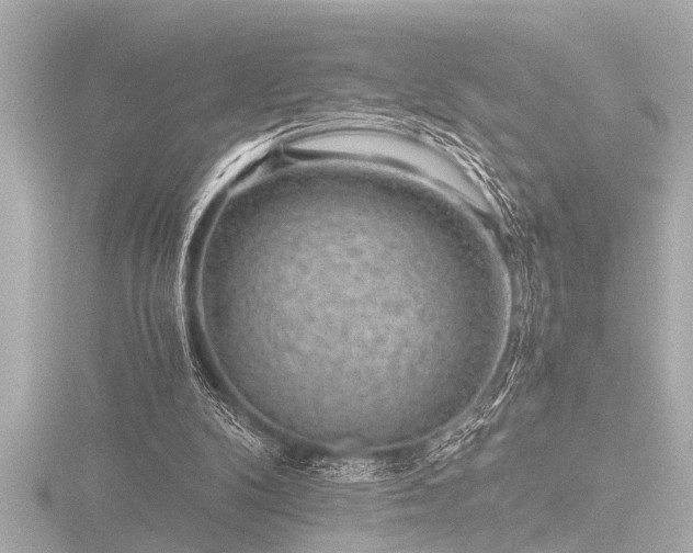 X0000116760104200912171444