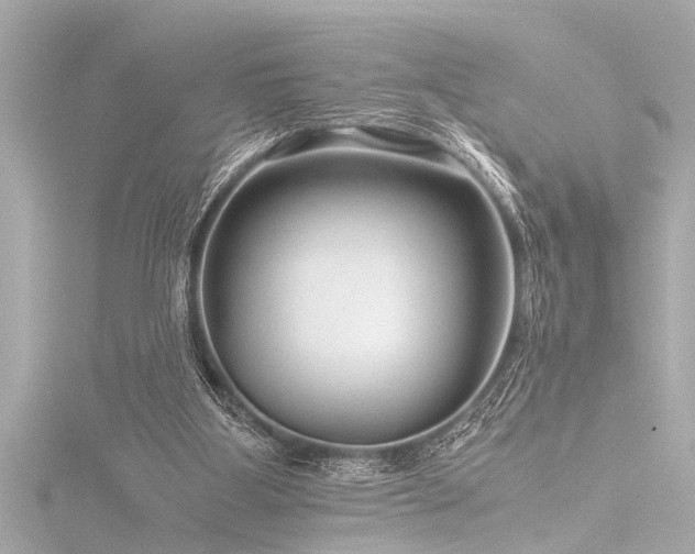 X0000116760107200912171444