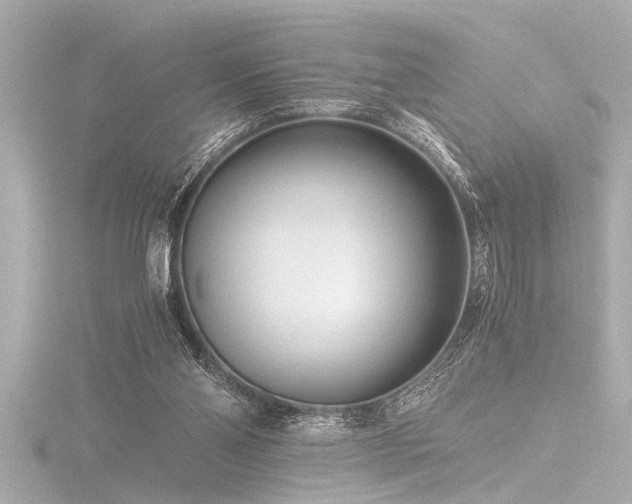 X0000116760110200912171444