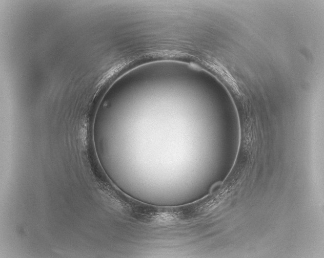 X0000116760111200912171444