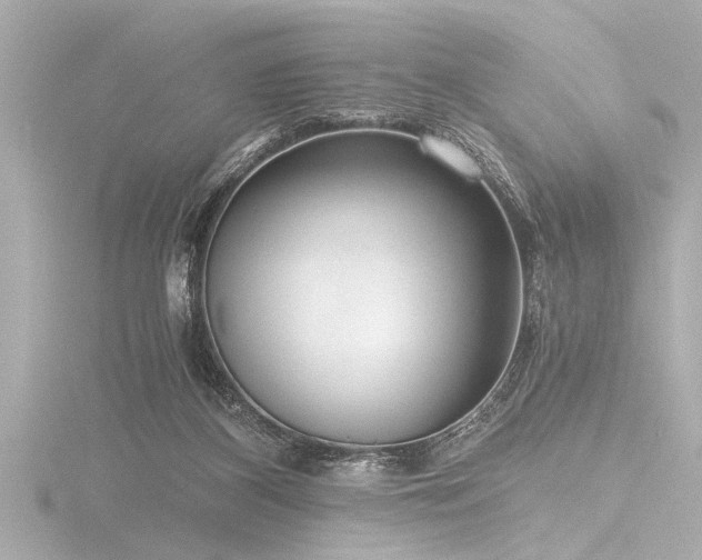 X0000116760116200912171444