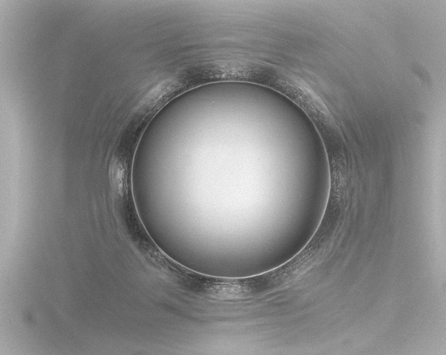 X0000116760123200912171443