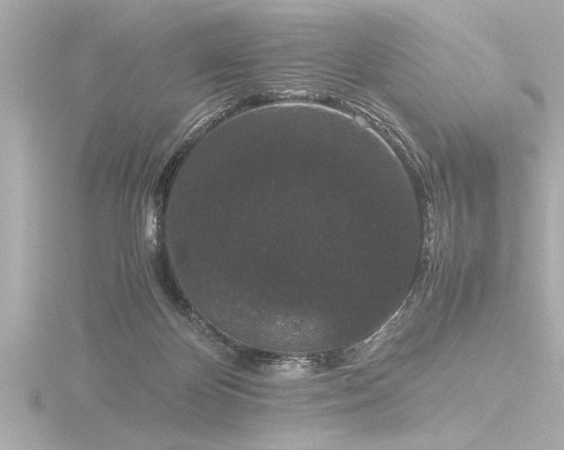 X0000116760124200912171443