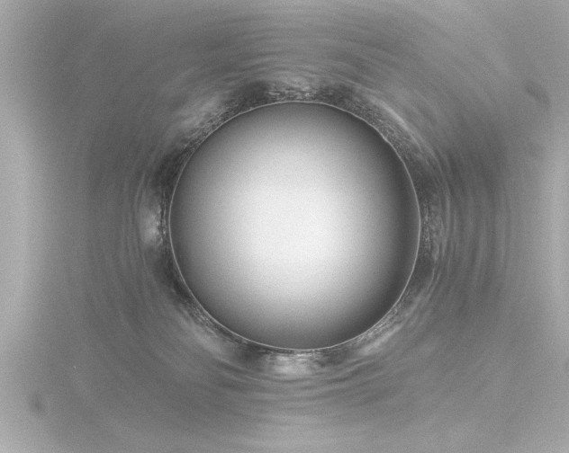 X0000116760134200912171443