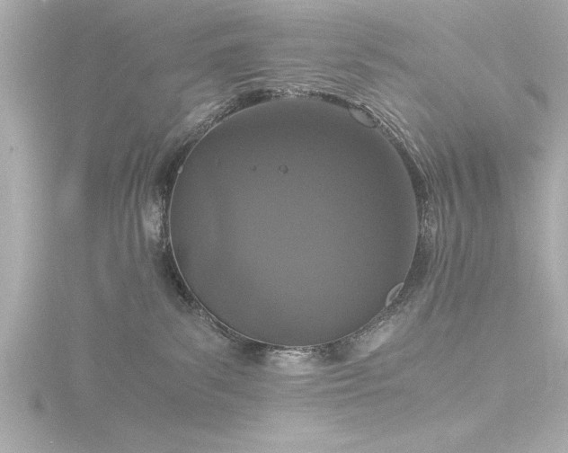 X0000116760139200912171443
