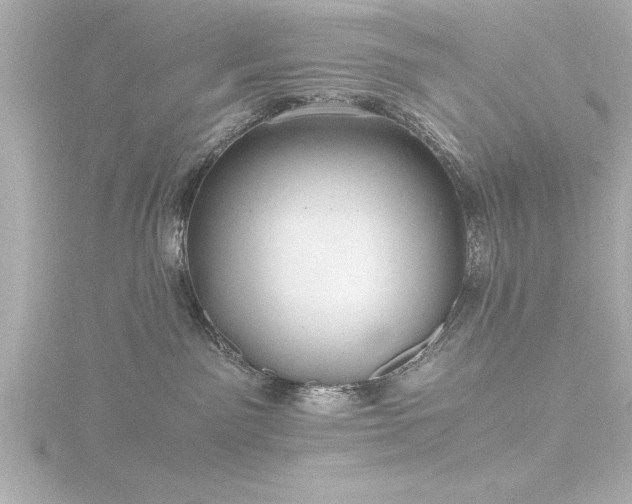 X0000116760141200912171443