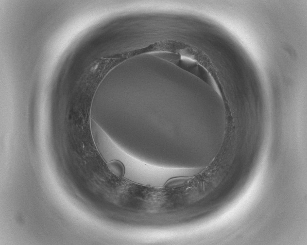 X0000116760143200912171443
