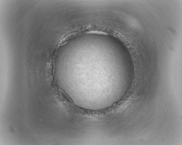 X0000116760144200912171443