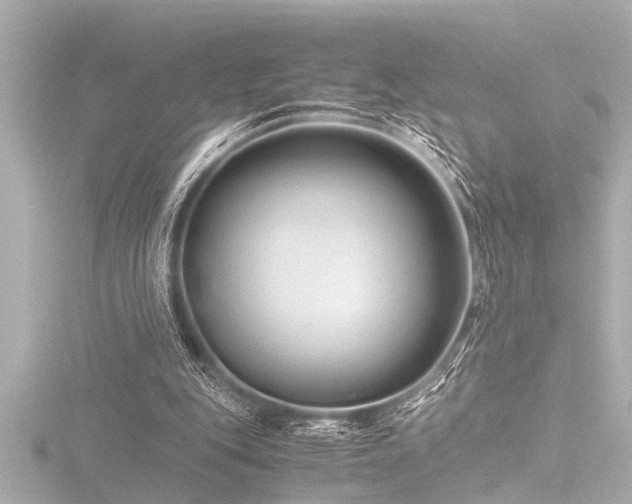 X0000116760151200912171442