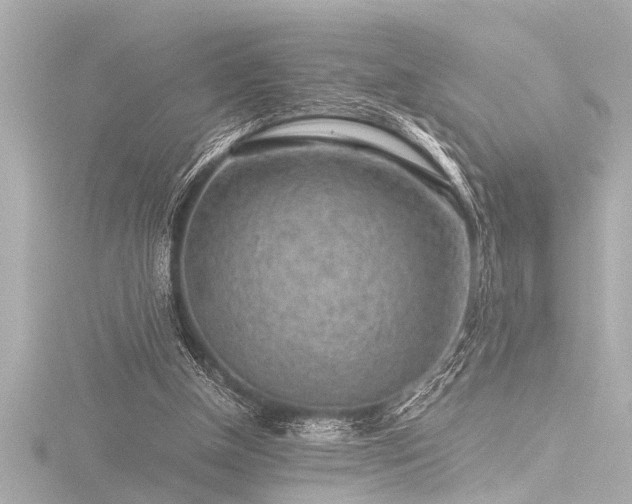 X0000116760154200912171443