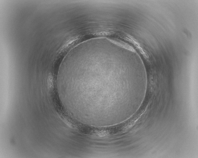X0000116760161200912171443