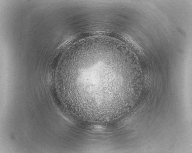 X0000116760165200912171443