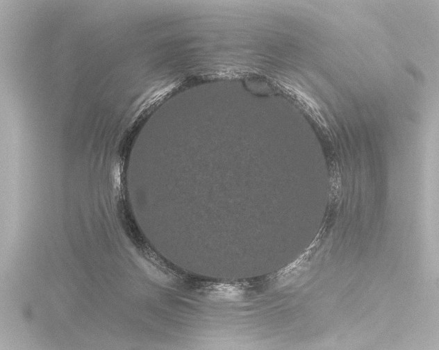 X0000116760166200912171443