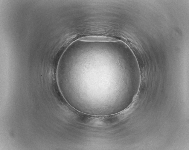 X0000116760182200912171443