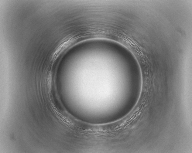X0000116760194200912171442