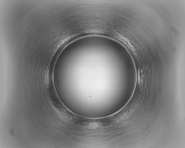 X0000116760204200912171442