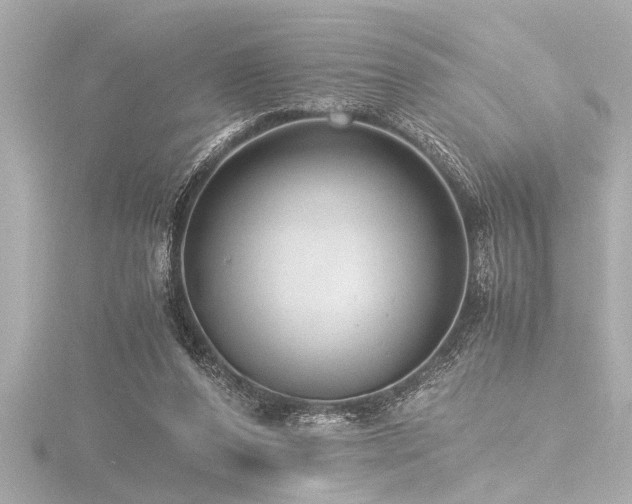 X0000116760208200912171442