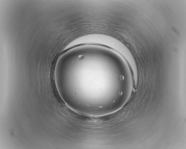 X0000116760221200912171442