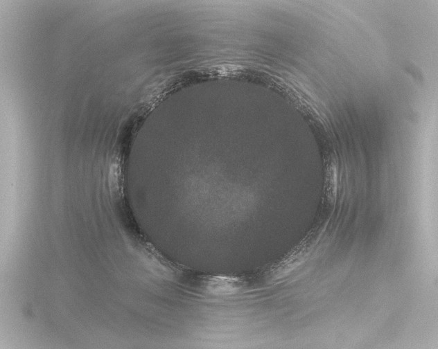 X0000116760222200912171442
