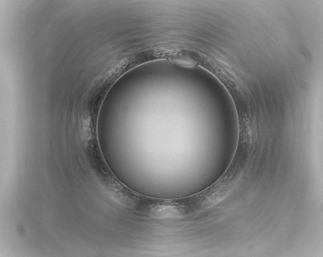 X0000116760224200912171442