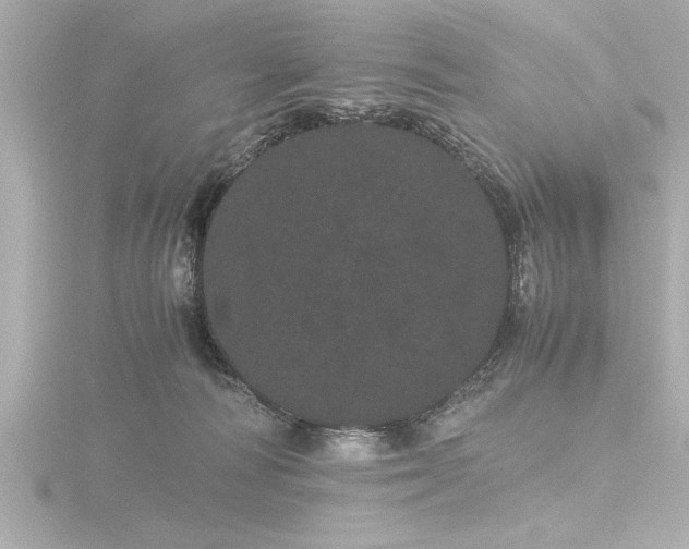 X0000116760226200912171442