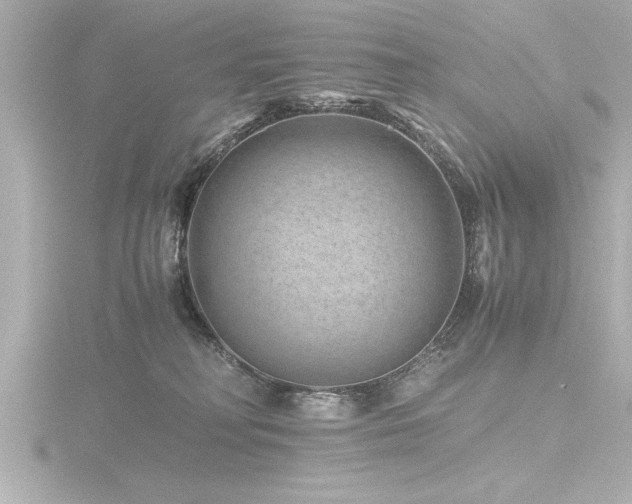 X0000116760230200912171442