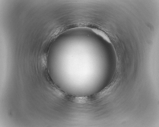 X0000116760240200912171442