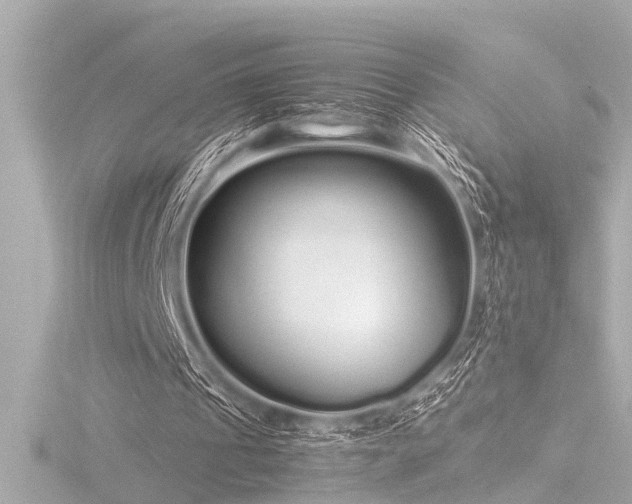 X0000116760241200912171441