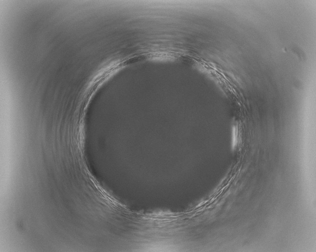 X0000116760243200912171441