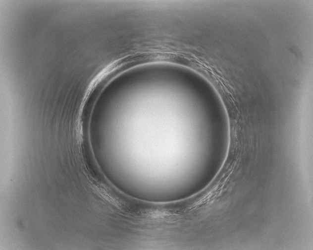 X0000116760246200912171441