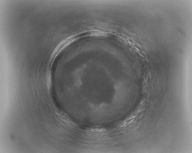 X0000116760247200912171441