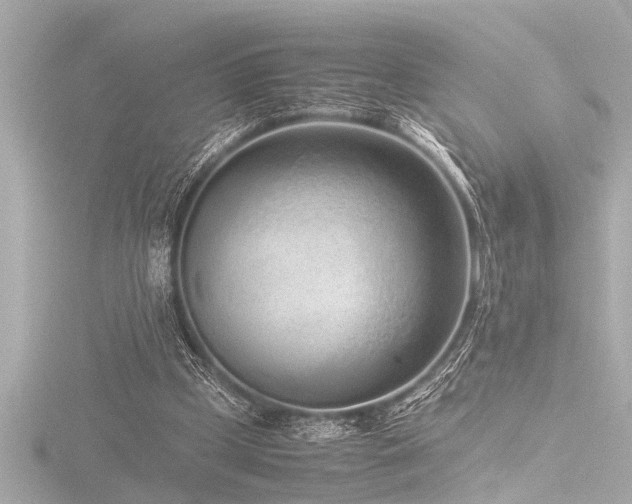 X0000116760249200912171441