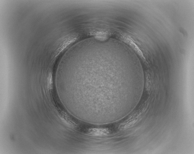 X0000116760251200912171441