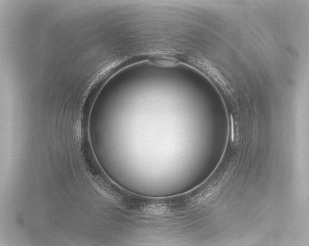 X0000116760252200912171441