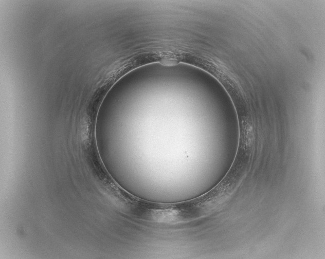X0000116760266200912171442