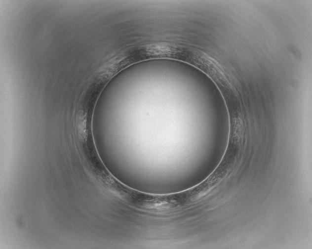 X0000116760267200912171442