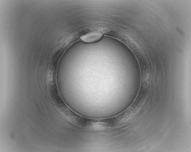 X0000116760268200912171442